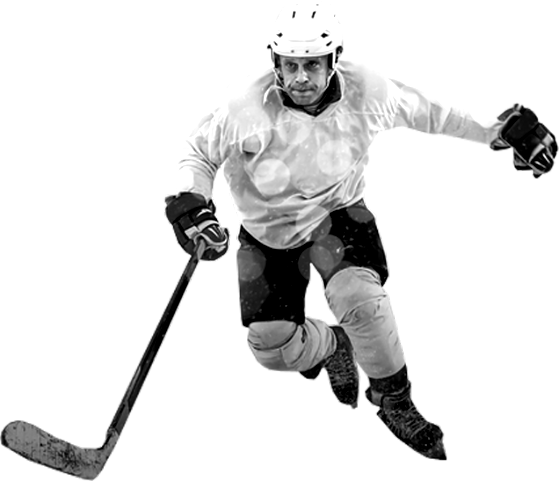Sporty Systems - Fantasy Sports - hockey
